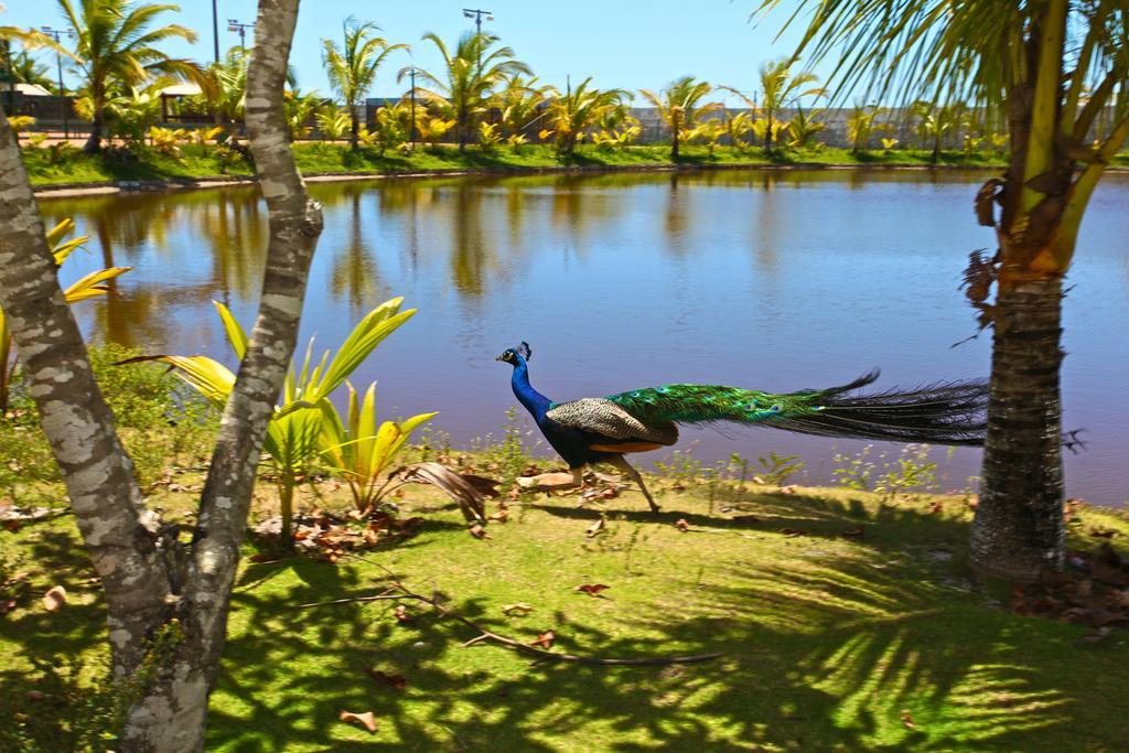 Capitania Praia Hotel Fazenda Mutari Eksteriør bilde